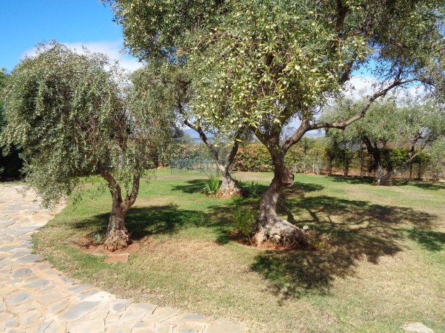 4 Makuuhuoneen Huvila Alhaurín de la Torre