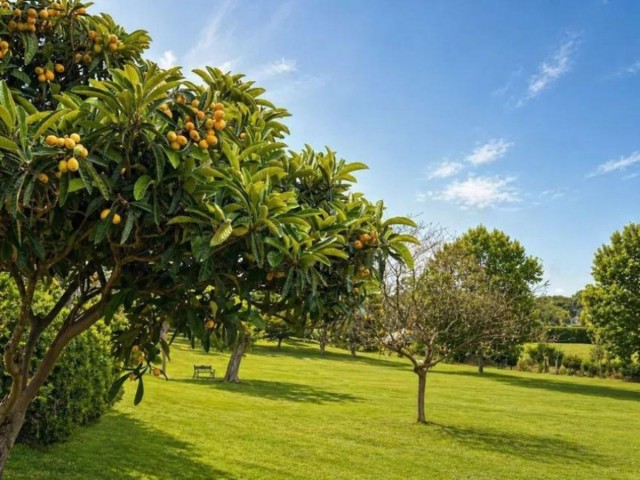 2 Bedrooms Apartment in Estepona