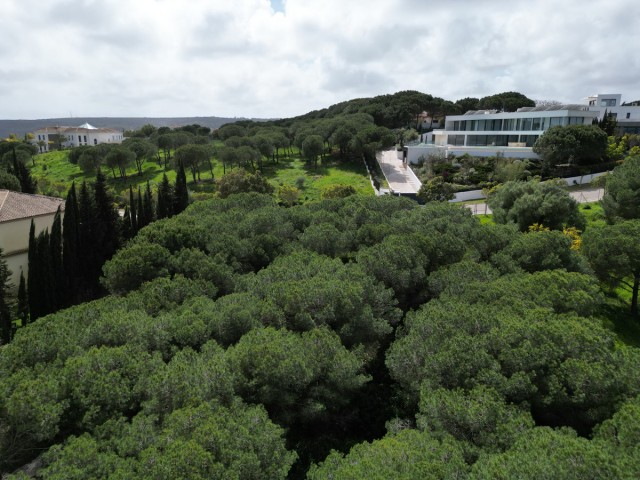  Plot in Sotogrande