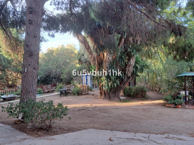 24 Bedrooms Townhouse in Málaga