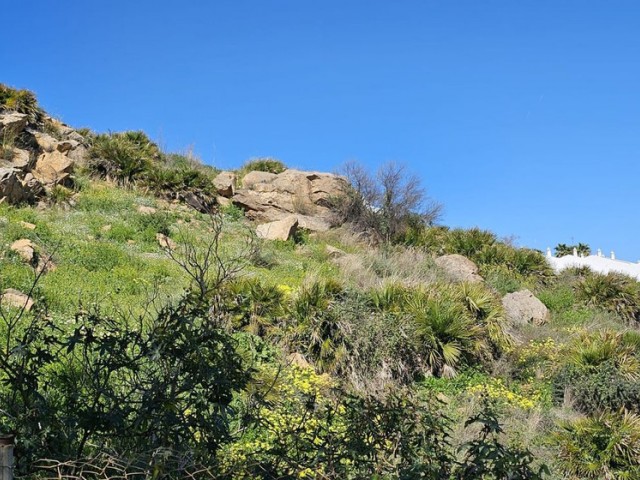  Plot in Benalmadena