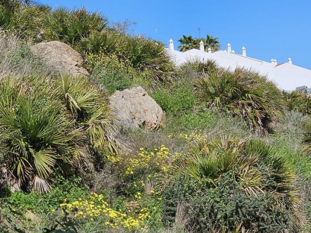  Plot in Benalmadena