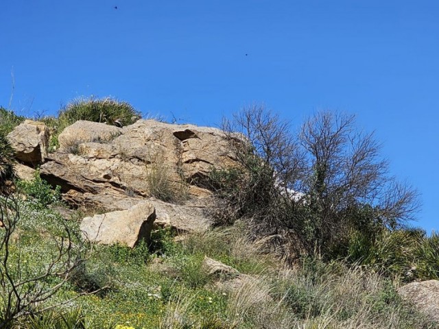  Plot in Benalmadena