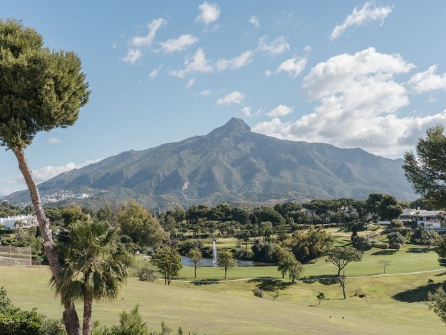 Penthouse in Nueva Andalucía