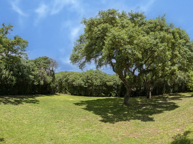 6 Makuuhuoneen Huvila Sotogrande Alto