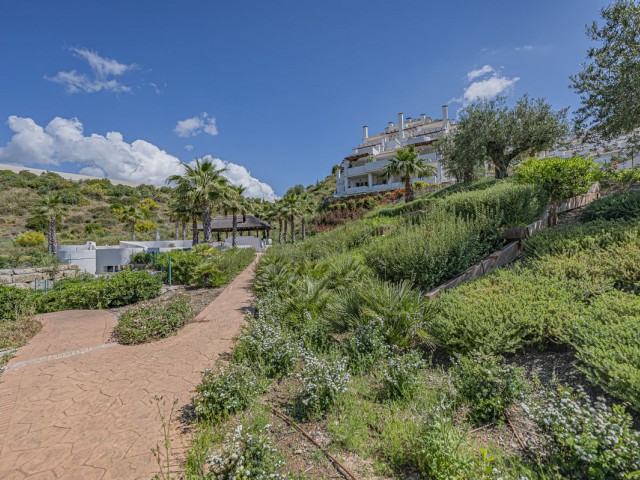Penthouse avec 2 Chambres  à Nueva Andalucía