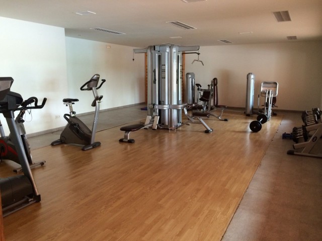 Penthouse in New Golden Mile