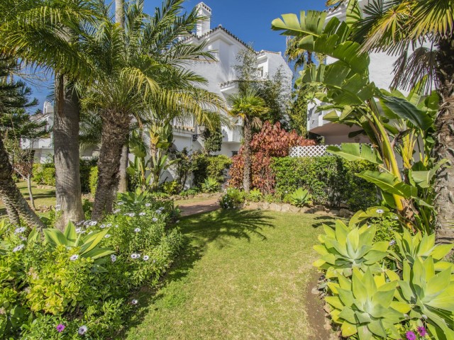 3 Slaapkamer Appartement in Nueva Andalucía