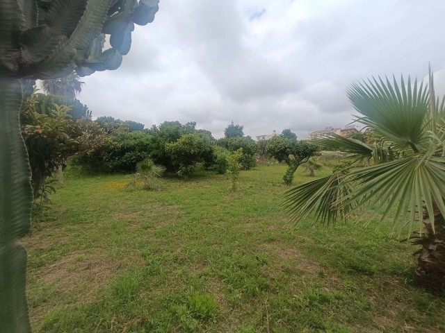  Parcelle à Mijas
