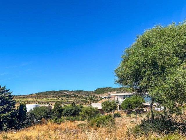 Plot, Estepona