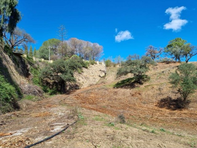  Tontti El Madroñal