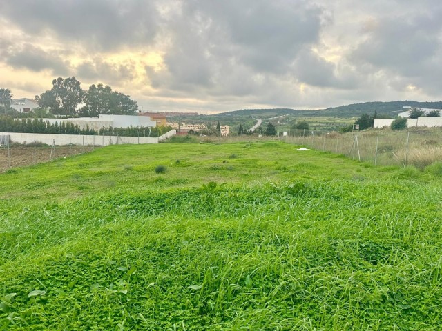  Plot in Valle Romano