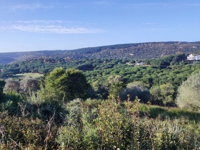 Plot, Sotogrande