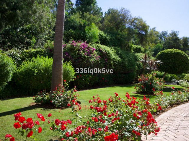Apartamento, Los Arqueros, R5389096