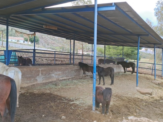 Commercieel in Campo Mijas