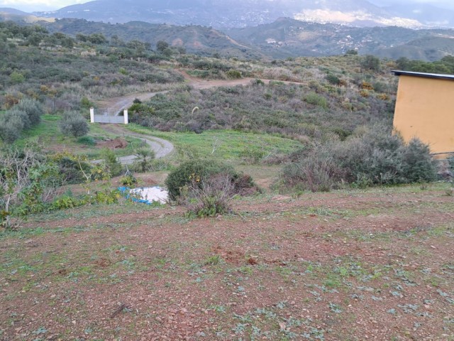 Commercieel in Campo Mijas