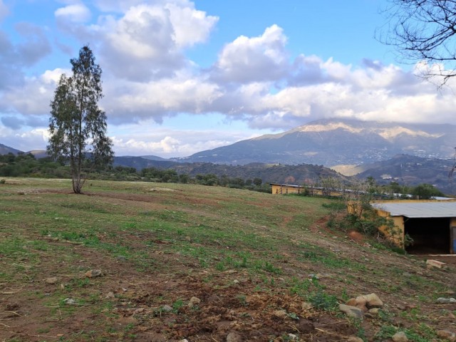 Commercieel in Campo Mijas