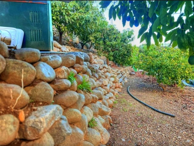 4 Bedrooms Villa in Estepona