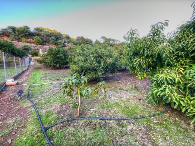 4 Bedrooms Villa in Estepona
