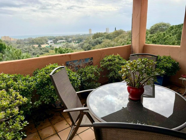 Apartment, Elviria, R5394580
