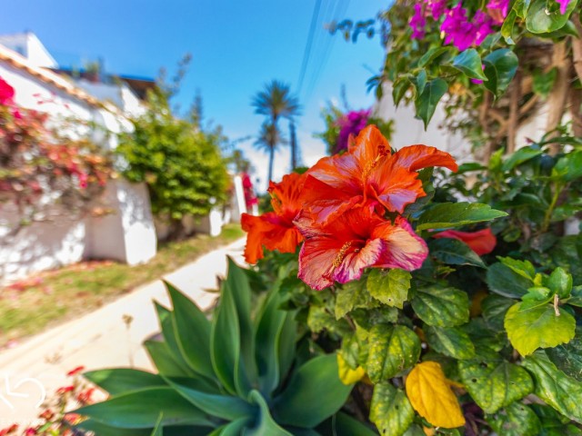 3 Bedrooms Villa in Estepona