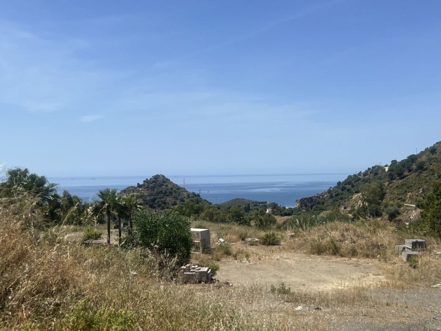 Plot, Marbella