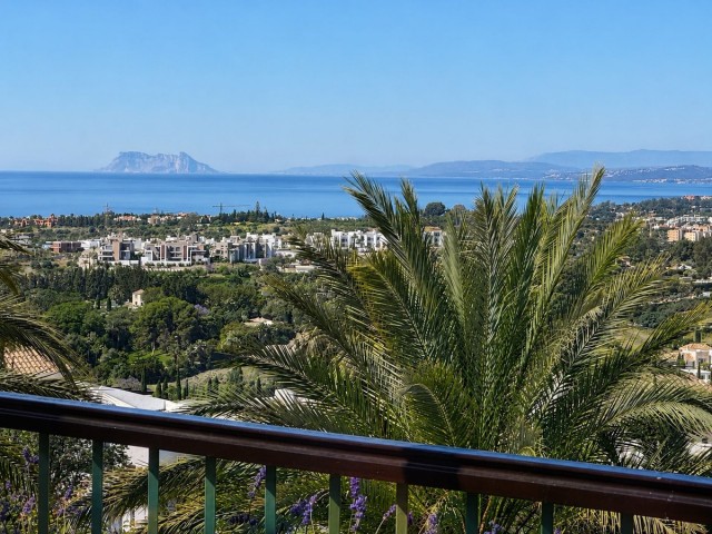 Penthouse in Los Flamingos