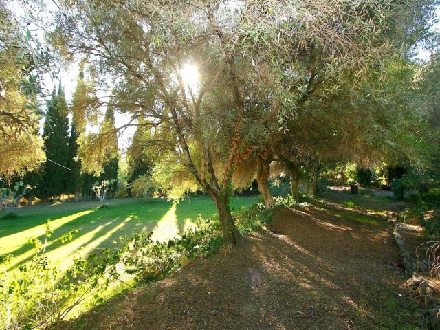 Plot, Mijas