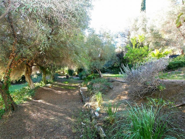  Plot in Mijas