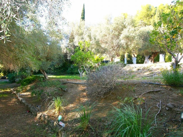  Plot in Mijas