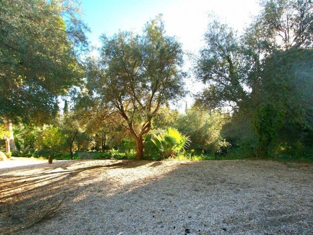  Plot in Mijas