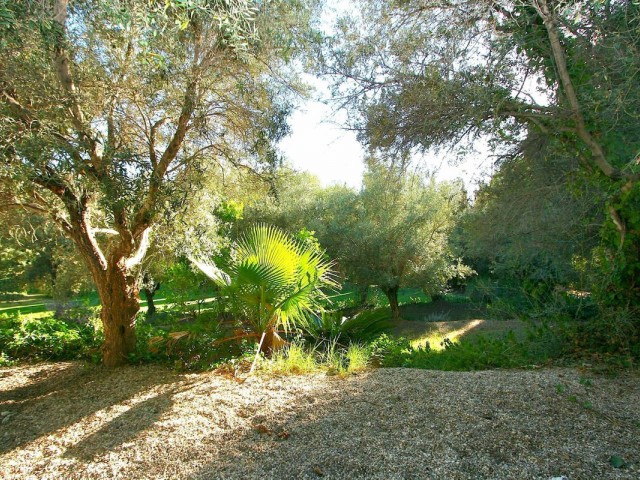  Plot in Mijas