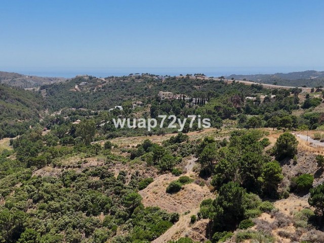 Plot, Benahavis