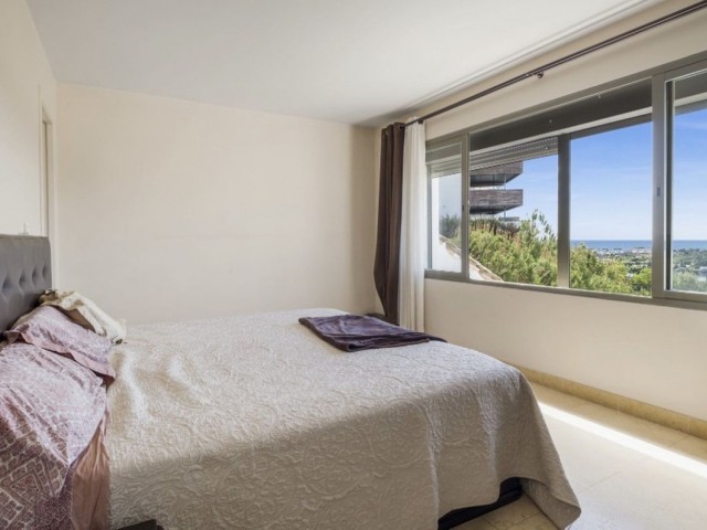 Penthouse i Los Flamingos