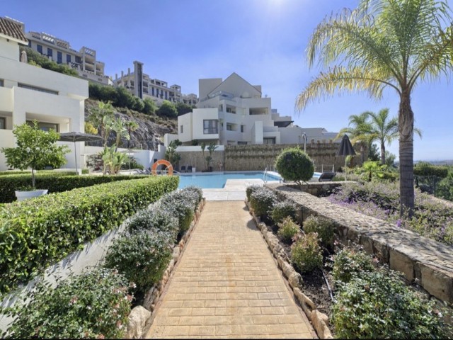 Penthouse i Los Flamingos