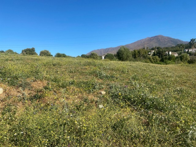 Terreno, Valle Romano, R4304128
