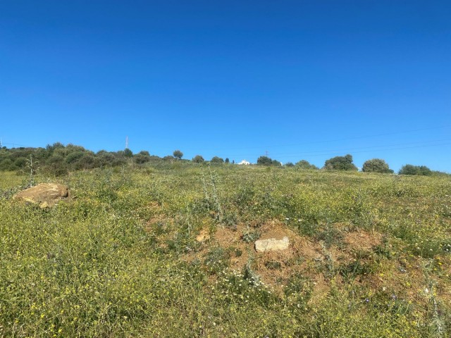 Terreno, Valle Romano, R4304128