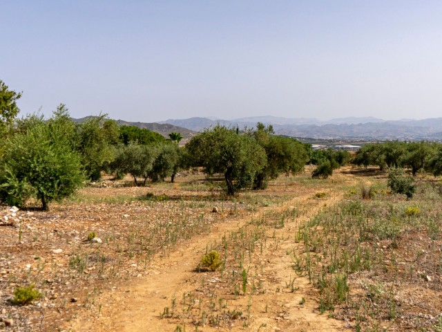 Grundstück, Alhaurín de la Torre, R3221725
