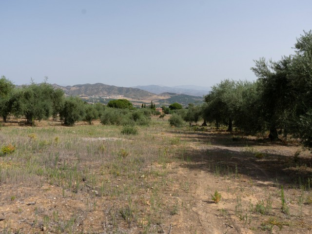 Grundstück, Alhaurín de la Torre, R3221725