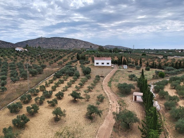 Villa con 4 Dormitorios  en Alhaurín el Grande