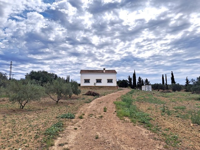 Villa con 4 Dormitorios  en Alhaurín el Grande