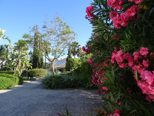 4 Slaapkamer Villa in Sotogrande Alto