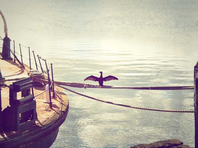 Spain’s Secret Weapon for Attracting Global Talent: The Digital Nomad Visa Explained